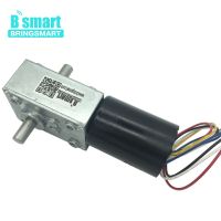 Bringsmart 5840-3650S 12V 24V 2.5-60KG DC Brushless High Torque Turbo Worm Geared Motor Reverse Self-locking Brake Motor