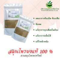 กระเพราผง ขนาด 100 กรัม ช่วยขับลมแก้อาการปวดท้อง (Phuchifa_Organic)