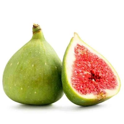 10 เมล็ด เมล็ดมะเดื่อฝรั่ง Figs สายพันธุ์ White Genoa (ไวท์จีนัว) ของแท้ 100% มะเดื่อฝรั่ง หรือ ลูกฟิก (Fig) อัตราการงอก 70-80% Figs Seed มีคู่มือวิธีปลูก