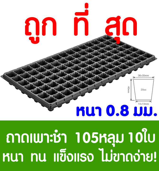 ถาดเพาะกล้า-ถาดเพาะชำ-105หลุม-10แผ่น-ถาดเพาะต้นกล้า-ถาดเพาะกล้า-ถาดเพาะต้นอ่อน-ถาดเพาะเมล็ด-ถาดเพาะข้าว-ถาดเพาะปลูกผัก-ปลูกต้นไม้