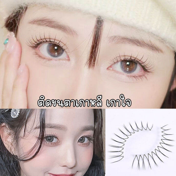 ขนตาปลอมสไตล์เกาหลี แนวเกาหลี สวยเหมือนสาวเกาหลีง่ายๆ ลองซิคะ | Lazada.Co.Th