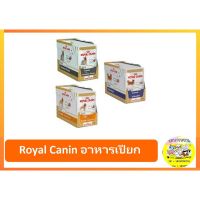 พลาดไม่ได้ โปรโมชั่นส่งฟรี Royal Canin อาหารเปียก สุนัข มีหลากรสให้เลือก