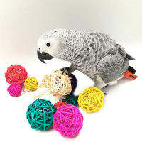 JointFlowers หวายที่มีสีสันสัตว์เลี้ยงนกกรงเล็บเคี้ยวของเล่น Parrot Swing Ball CAGE parakeet