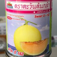 แคนตาลูป สวีท ดี 162 20 กรัม ตะวันต้นกล้า