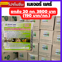 เนเจอร์แคร์ 1 ลัง บรรจุ 20 กิโลกรัม