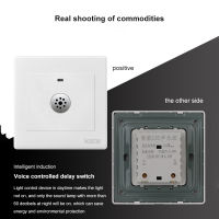 220V Smart Light Control Switch Wall Switch Detector Sound Voice Sensor Inligent Auto On Off Light Switch Induction series