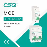 CSQ Mini Circuit Breaker DZ47 1P 2P 3P 4P MCB Overload Protection Switch6A~63A/80A 100A 125A C45 Mini LV Air Switch Electrical Circuitry Parts
