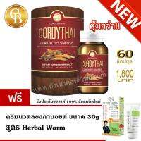 CORDYTHAI For Him (30 แคปซูล/กระป๋อง ) คอร์ดี้ไทย ถั่งเช่า ม.เกษตร สำหรับผู้ชาย กระป๋องสีแดง ( 1 กระป๋อง ) แถมฟรี ครีมนวดลองกานอยด์ สูตร Herbal Warm