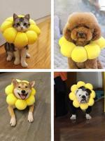 Hi Pet❤ อุปกรณ์สัตว์เลี้ยง Pet headdress sunflower ดอกทานตะวันหมวกแมว หมวกสุนัข สร้อยคอแมว สร้อยคอสุนัข S 6#11