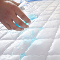 ADOREHOUSE Waterproof Quilted Mattress Cover Washable Bed Cover Queen Solid Color Bed Protector No Piollowcases Bedding Sets