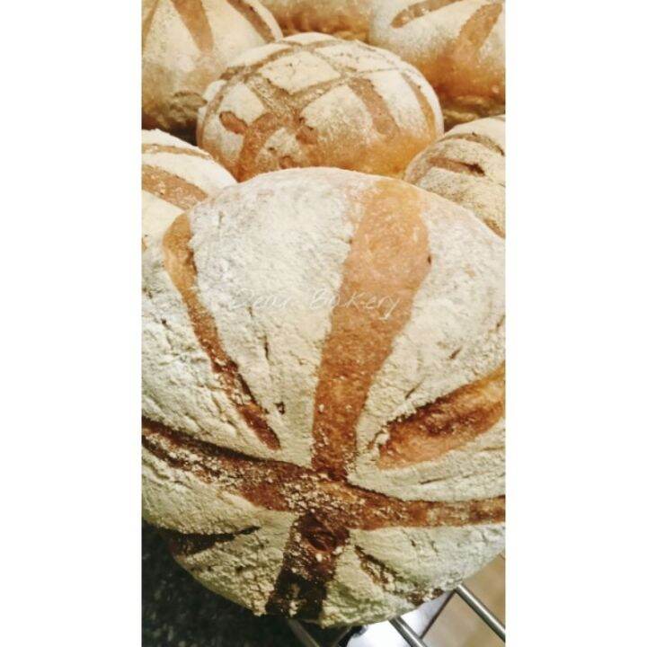 Best Sourdough bread 325 grams Lazada PH