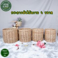 ✅ขายดีมากๆ ราคาถูก?กระถางต้นไม้หวาย มี4ขนาด ส่งเร็วเก็บเงินปลายทางได้