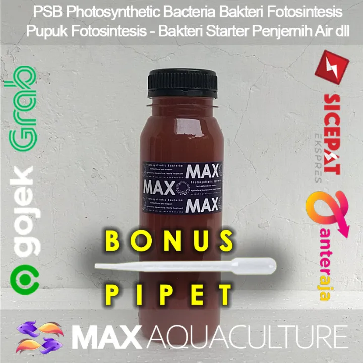 Psb Pupuk Bakteri Fotosintesis Photosynthetic Bacteria Poc 250 Ml Lazada Indonesia