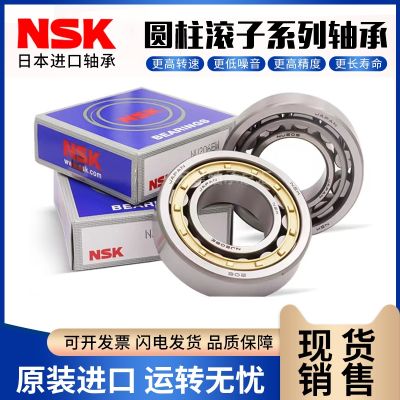 Japan NSK cylindrical roller bearings NJ NU NF N NUP 2203 2204 2205 2206 EM E
