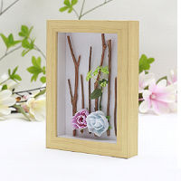 Creative Box Frame Hollow 2cm For DIY Handmade Arts,Dried FlowerBranch,Crafts,Butterflies,Insects And Paper Drawing Dispaly