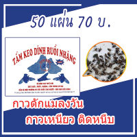 กาวดักแมลงวัน (50 แผ่น 70บ.)  แผ่นกาวดักแมลงวัน กาวดักแมลงวัน กาวติดแมลง แมลงวัน