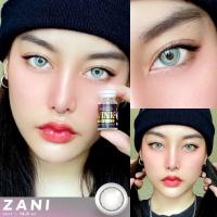 คอนแทคเลนส์?Zani? Chestnut / Gray (Wink) ขนาดบิ๊กอาย?ขายดี?