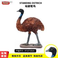 ? ของขวัญ Simulation model of solid wildlife ostrich class African static toys furnishing articles