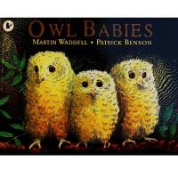 Owl Babies By Martin Waddell Educational English Picture Book Learning Card Story Book For Baby Kids Children Gifts
