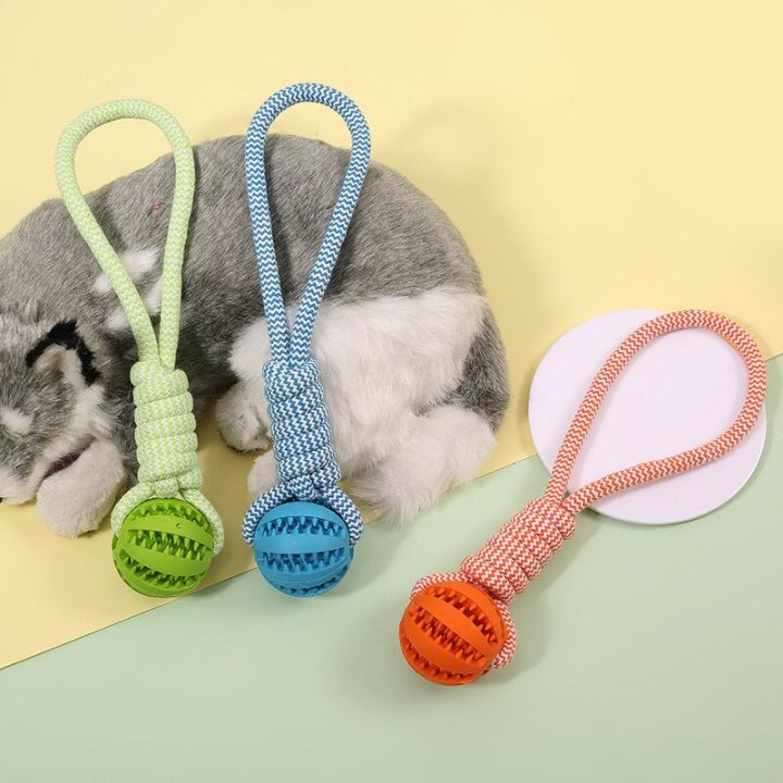 dog-toy-ball-pull-rope-sound-molar-elastic-bite-training-dog-health-care-rubber-chew-leakage-ball-pet-dog-entertainment-toys-toys