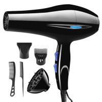 Professional 800W Ionic Salon Hair Dryer - Professional Blow Dryer - Lightweight Travel Hairdryer for Normal &amp; Curly Hair Includes Volume Styling Nozzle