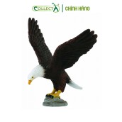 Đồ chơi mô hình động vật CollectA Đại Bàng Đầu Trắng - American Bald Eagle