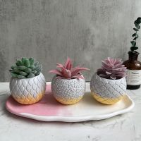 【CW】 Scale Pot Plaster Silicone Mold Storage Holder Making Decoration Glue