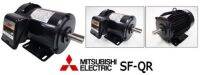 MITSUBISHI มอเตอร์ รุ่น SF-QR กำลัง 1 แรงม้า (0.75 กิโลวัตต์) ชนิดหุ้มมิด 3 เฟส 220/380 โวลต์ 4 โพล 3 สาย IP55 ความเร็วรอบ 1450 รอบ/นาที