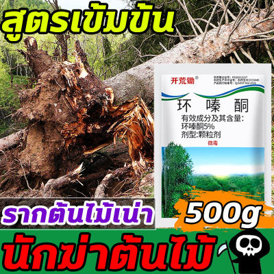 💥ตรงไปที่ราก!!💥 ยากำจัดต้นไม้ สารกำจัดกอไผ่ ผงกำจัดต้นไผ่ ยาฆ่าตอไม้ 500g สูตรเข้มข้น กำจัดวัชพืชรากเน่า ผลติดทนนาน ไม่เป็นอันตรายต