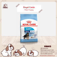 Royal Canin อาหารสุนัข Maxi Puppy ชนิดเม็ด สำหรับลูกสุนัขพันธุ์ใหญ่(น้ำหนักมากกว่า26kg) อายุต่ำกว่า 15 เดือน ขนาด (4kg/15kg) (MNIKS)