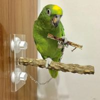 〖Love pets〗 Bird Parrot Wooden Standing Stick Rack Suction Cup Shower Perch Bar Rod Bathing Toy Perches Cage Accessories Pet Supply