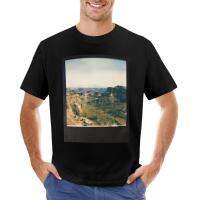 Polariod Cayons- Canyonlands National Park T-Shirt Quick Drying T-Shirt Men Clothing