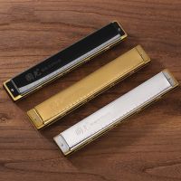 Blues Harmonica in C 28 Holes Harp Diatonic Harmonica Mouth Organ Harmonica