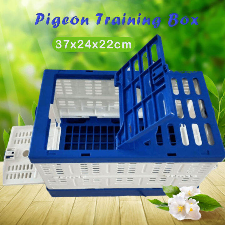 ABS Foldable Pigeon Training Box Bird Rabbit Cage 37x24x22cm Lazada PH