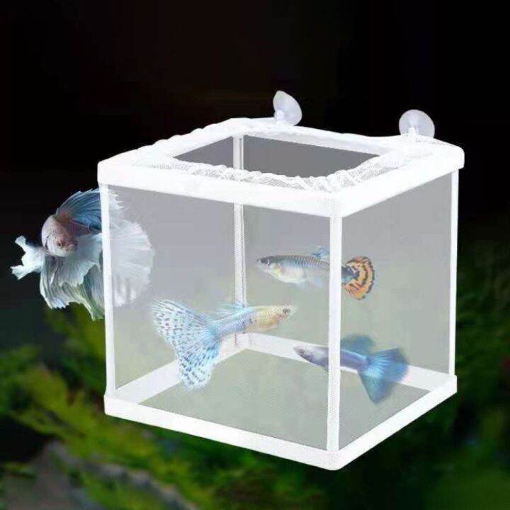 STARRY Portable Lightweight Baby Fish Hatchery for Baby Fishes Shrimp ...