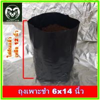 สั่ง 5 แพคขึ้นไปส่งฟรี!! ถุงเพาะชำ ขนาด 6x14 นิ้วประมาณ 17 ใบ น้ำหนัก ครึ่งกิโล ถุงดำ ถุงเพาะชำสีดำ ถุงเพาะต้นไม้ ถุงเพาะกล้า ป