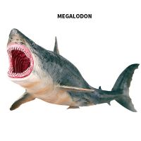 1Pcs Big Dinosaur Realistic Figures Mosasaurus Megalodon Shark Model Marine Animal Life Toy for Collection Party Favor Kids Gift