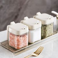 Portable Spice Rack Organizer Sugar Bowl Salt Shaker Seasoning Container Kitchen Supplies Storage Set Spice Boxes