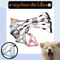 PS-266 สายรัดอกหมา แมว ปรับได้ อุปกรณ์เชือกสำหรับสุนัข แข็งแรง ราคาถูก พร้อมส่ง ??