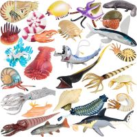 【CC】 Animals Oceans sea life Pikaia viperfish Crab Figures Educational Kids