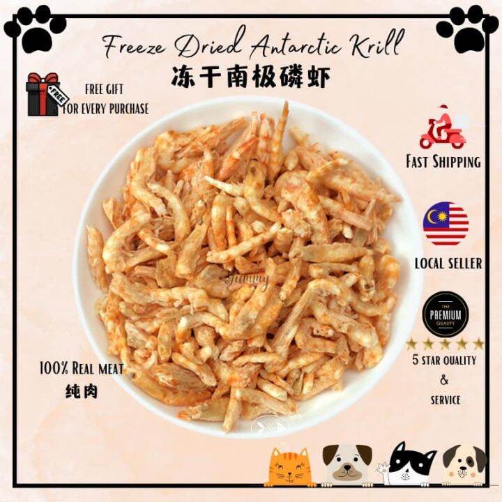 8-Quart Digital Air Fryer
