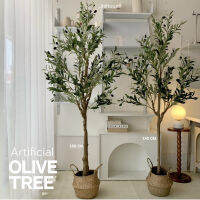 [พร้อมส่ง] ต้นมะกอกปลอม สูง 1.2 1.5 1.8 เมตร (Artificial Olive Tree) ต้นไม้ปลอม