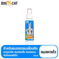 ส่งเลย! สำหรับแพลสดแพลโดนกัด ติดเชื้อ หนอง แบคทีเรีย 100 ml ทั้ง สุนัข และแมว 100 ml -  250 ml