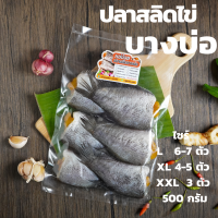 ปลาสลิด​บางบ่อ  มีไข่