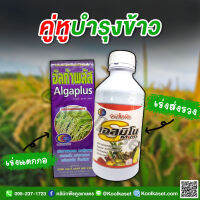 อัลก้าพลัส+เอส-มิโน 1ลิตร  ผสมเกสร เปิดตาดอก แตกกอดี ลดการหลุดร่วง สีสวย ช่วยส่งล่วง ข้าวน้ำหนักดี เม็ดเต่งตึง เม็ดข้าวสวย คูลเกษตร KK15.1