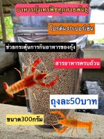 อาหารกุ้งเครฟิชทุกสายพันธุ์