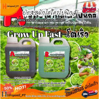 ปุ๋ย AB ไฮโดรโนิกส์ ใหม่ !!! Super GroW-โตเร็ว ขนาด 1 ลิตร 2 แกลลอน A+B New