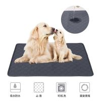 ♧✒⊕ New Product Urinary Anti-slip Anti-stick Hair Absorbent Diaper Multifunctional and Dog Training