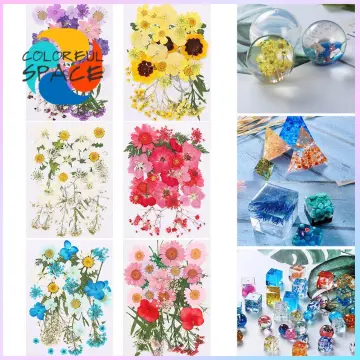 1 Pack Dried Flowers UV Resin Natural Flower Stickers Dry Beauty