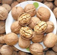 ถั่ววอลนัท (Walnut) พร้อมเปลือก อร่อย ได้ประโยชน์ ขนาด 500 กรัม (ถูงแพ็คเอง)